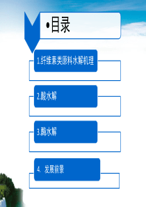 纤维素水解制燃料乙醇技术研究