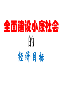 全面建设小康社会