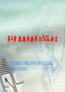 数据库操作与SQL语言