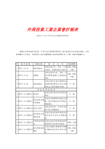 外商投资工业企业会计报表