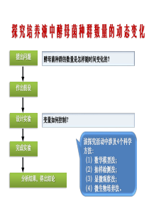 酵母菌的计数