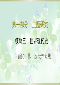 2015届中考历史拓展提升训练 模块三 世界近代史 主题16 第一次世界大战课件