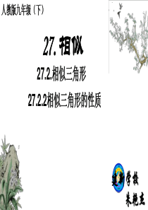 27.2.2相似三角形的其它性质