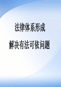 专题六+宪法+依法治国(+)