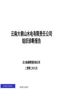 云南大朝山水电有限责任公司组织诊断报告