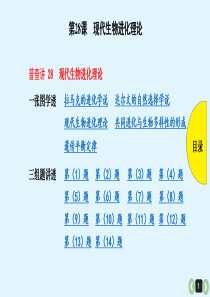 第28课-现代生物进化理论