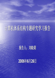 计算机体系结构专题研究学习报告