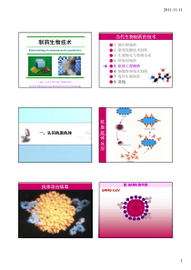 9-抗体工程制药 [兼容模式]