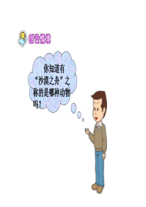 1我应该感到自豪才对PPT