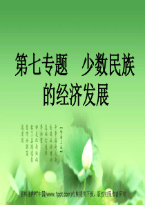 第七章 少数民族的经济发展