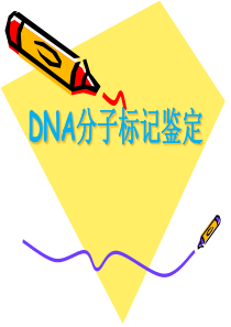 DNA分子标记用于中药鉴定