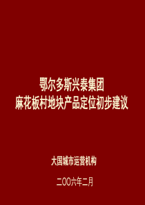 兴泰集团・麻花板村地块产品定位方案初步建议2006.2.28