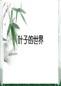 美术一年级《画画叶子》PPT课件