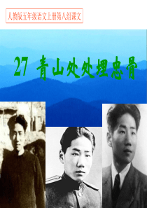 人教版五年级语文上册《27青山处处埋忠骨》PPT课件 (1)