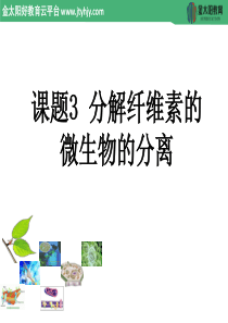 2015-2016学年 2.3《分解纤维素的微生物的分离》课件