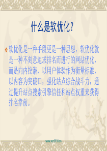 网站软优化方案