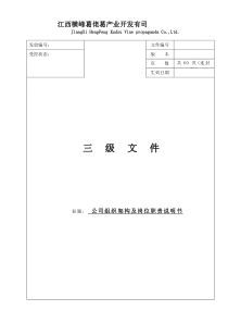 公司组织机构图及岗位职责DOC