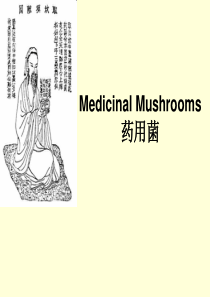 MedicinalMushrooms药用菌