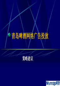 (网势)青岛啤酒网络广告投放策略建议