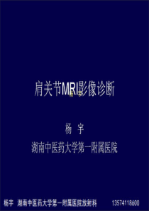 肩关节MR解剖病变