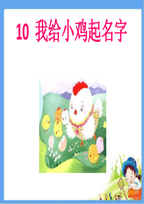 我给小鸡起名字