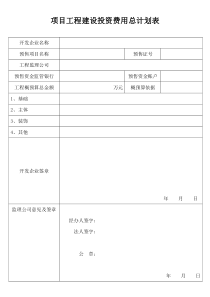 项目工程建设投资费用总计划表