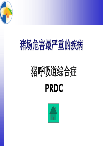 PRDC机理与用药方案