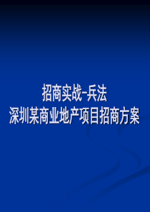 招商实战兵法-深圳某商业地产项目招商方案-案例分析