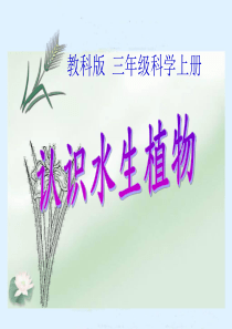 三年级科学上册_水生植物课件_教科版