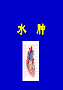 关于大学生网购情况的调查报告