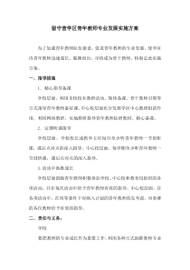 留守营学区青年教师专业成长实施方案