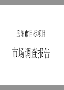 岳阳项目调查报告17125948