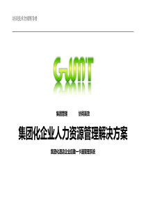 集团化企业人力资源系统化管理解决方案