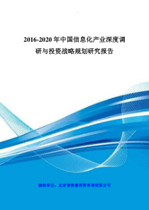 2020年中国信息化产业深度调研与投资战略规划研究报