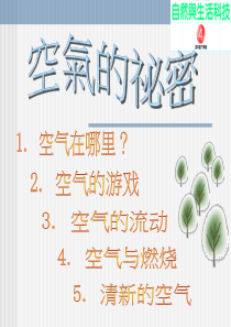 小学科学课件空气