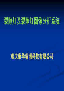 裂隙灯及裂隙灯图像处理系统