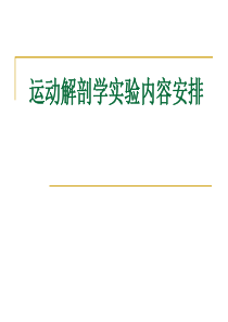 运动解剖学实验报告