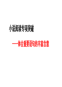 2017年理解小说中重要句子含义解题指导