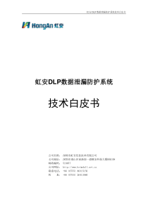 虹安DLP技术白皮书