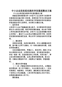 中小企业局党组实践科学发展观整改方案