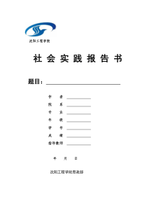 形势与政策社会实践报告模板