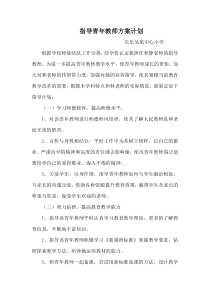 指导青年教师方案计划