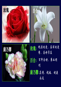 沃兰茨《铃兰花》