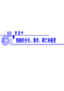 2013细胞的分化、衰老、凋亡和癌变