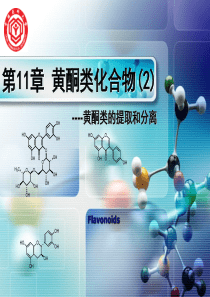 黄酮类化合物的提取和分离