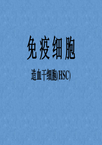 免疫细胞：造血干细胞(HSC) PPT课件