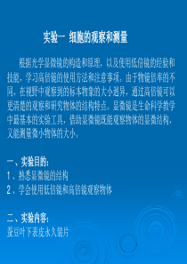 细胞的观察和测量