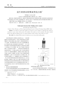 双片材挤出吹塑成型及分析_毕四强