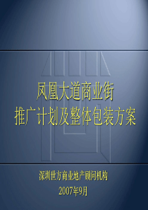 深圳凤凰大道商业街推广计划及整体包装方案