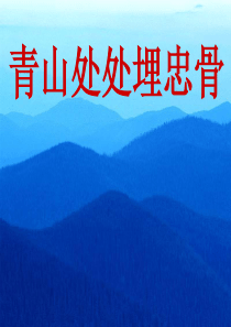 63青山处处埋忠骨